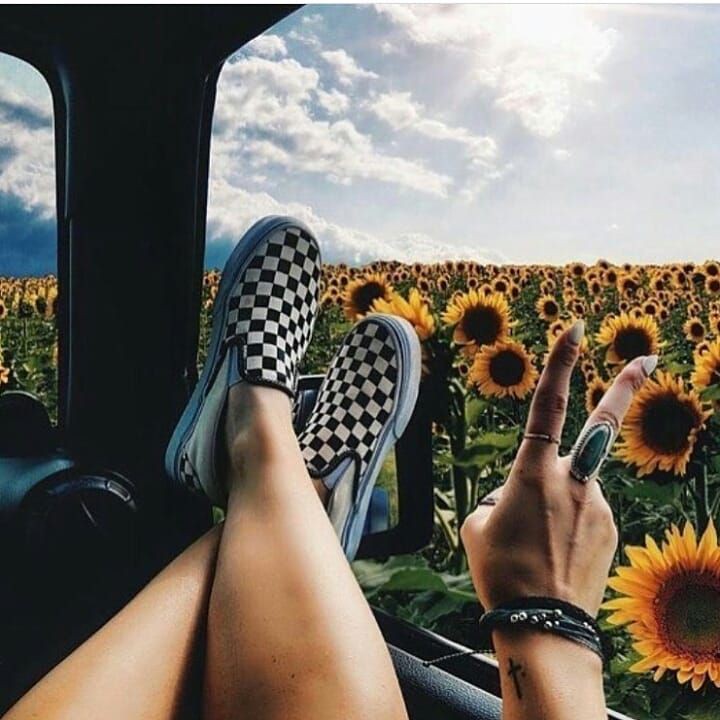 Estilos exóticos para furgonetas a cuadros, Vans Checkerboard Slip-On: trajes de furgonetas  