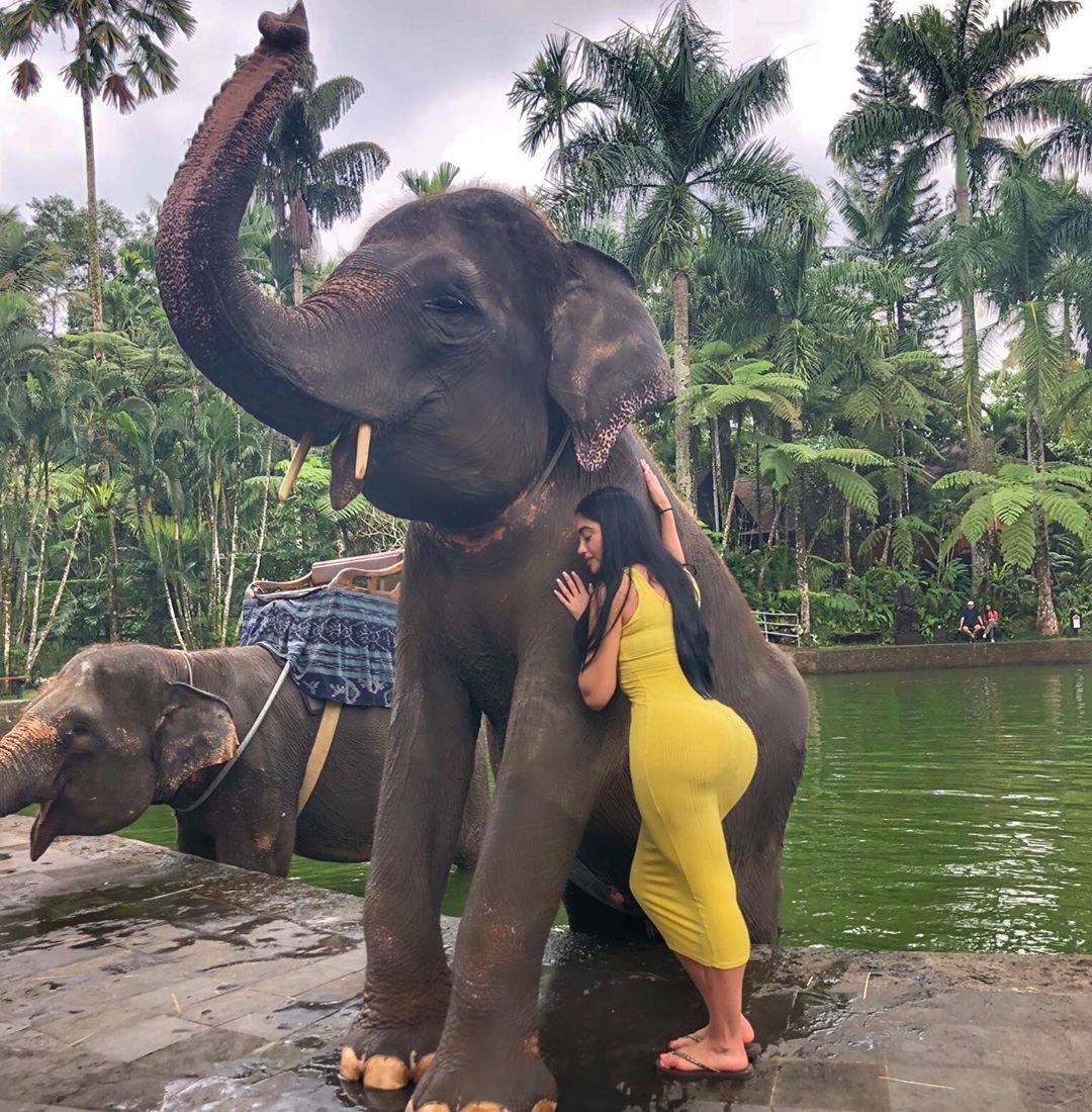Jailyne ojeda con el elefante: Jailyne Ojeda Ochoa  