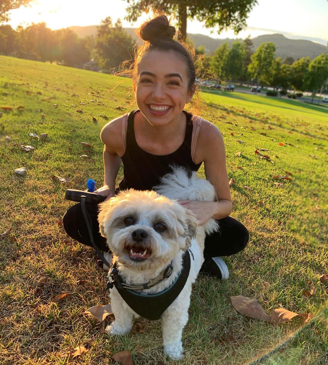 Veronica Merrell, petit basset griffon vendeen, perro de compañía, paseador de perros: Raza canina,  Verónica Merrell Instagram  