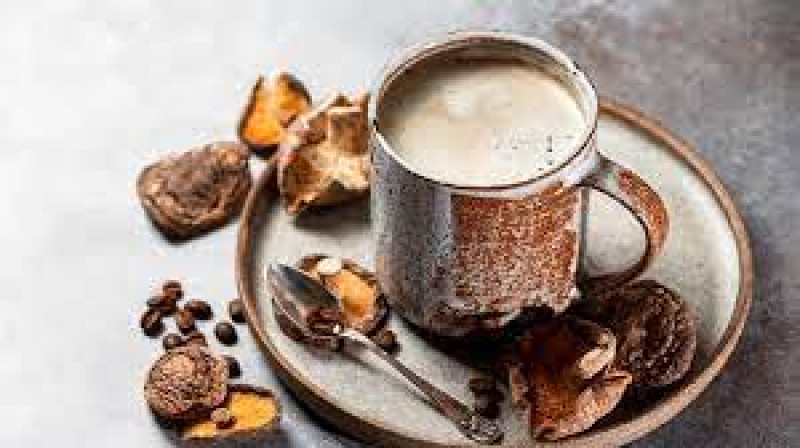 Mushroom Lattes For A Healthier Lifestyle | Everything To Know