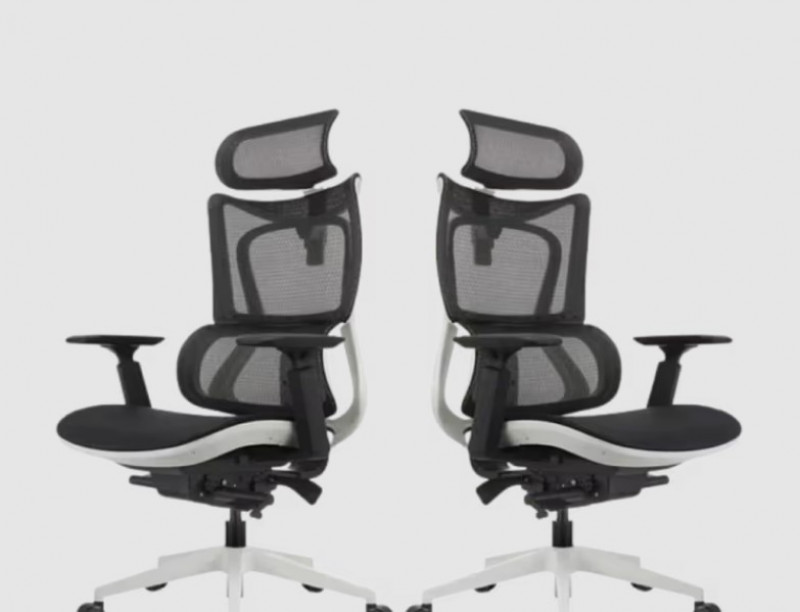 Ergonomic Excellence: The Key Features of an Ideal Office Chair