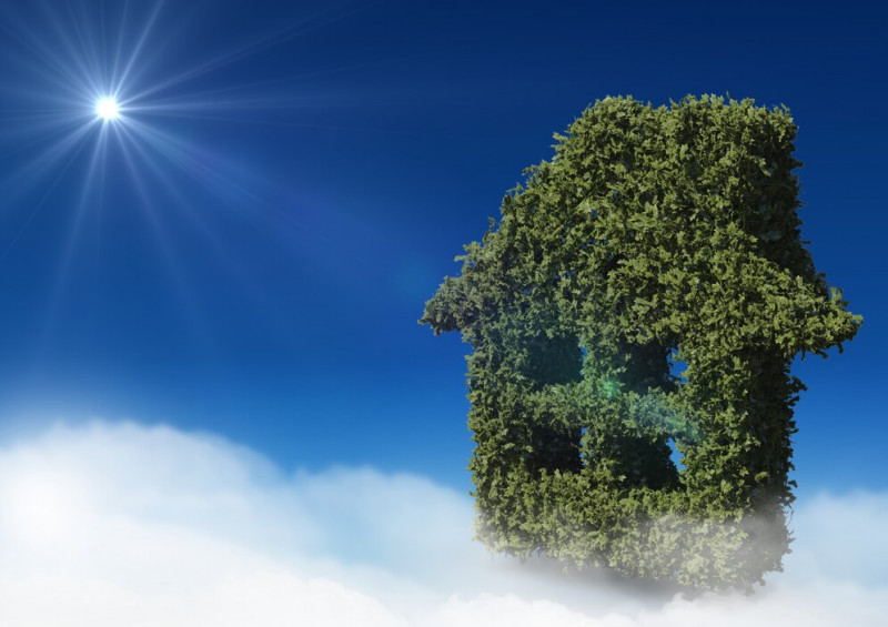 The Green Home Revolution: Remodeling for Sustainability