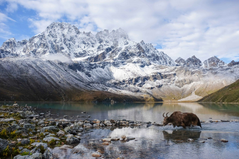 Where Turquoise Lakes Meet Giant Peaks: Gokyo Valley Trek